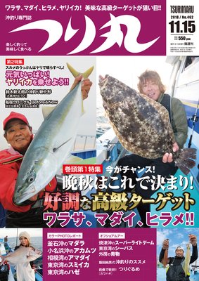 �Ĥ�� 2018ǯ 11��15���ɽ��