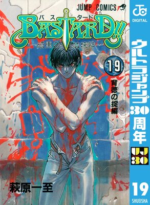 BASTARD!! 19