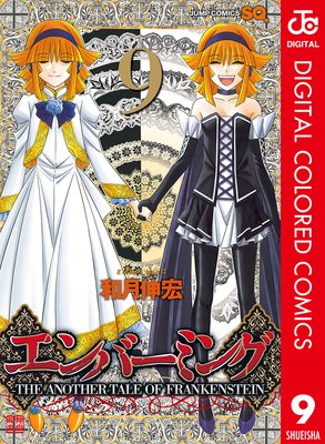 ����С��ߥ󥰡�THE ANOTHER TALE OF FRANKENSTEIN�� ���顼�� 9