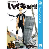 ハイキュー!! 19