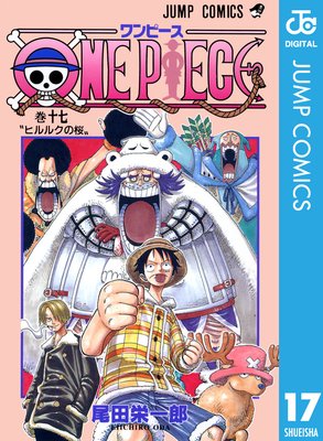 ONE PIECE Υ 17