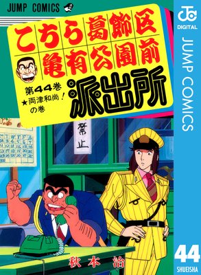 ���������赵ͭ�������ɽн� 44