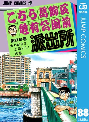 ���������赵ͭ�������ɽн� 88