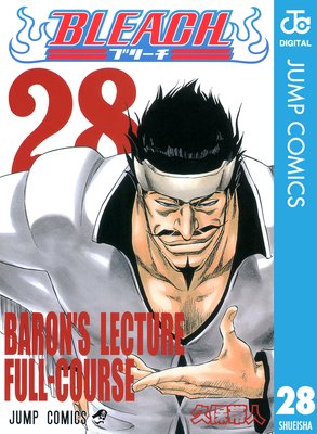 BLEACH ��Υ����� 28