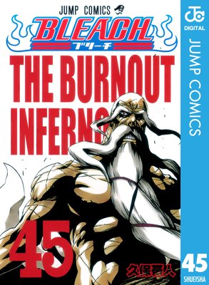 BLEACH ��Υ����� 45