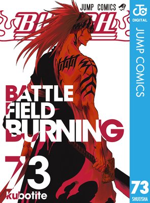 BLEACH ��Υ����� 73