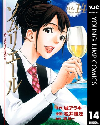 ����ꥨ���� 14