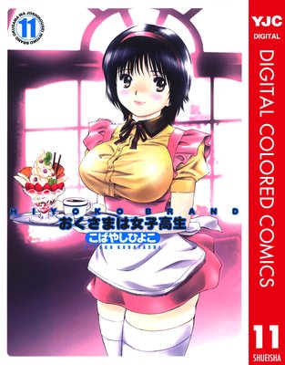 HIYOKO BRAND �������ޤϽ��ҹ��� ���顼�� 11