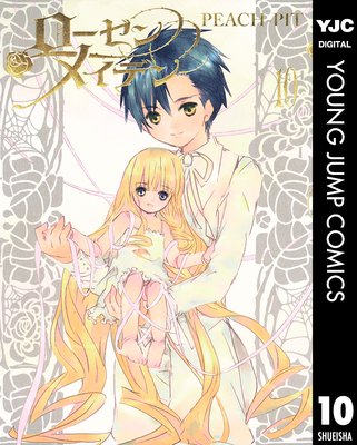 ��������ᥤ�ǥ��ɽ��