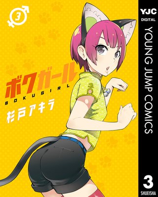 �ܥ������� 3