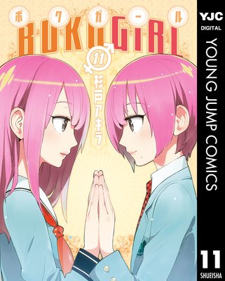 �ܥ������� 11