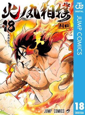 National Treasures, Hinomaru Zumou Wiki