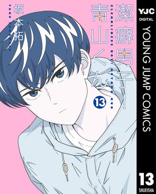 潔癖男子!青山くん 13
