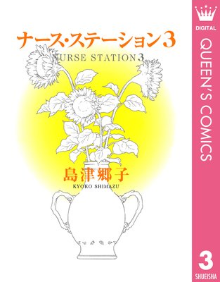 �ʡ��������ơ������ 3