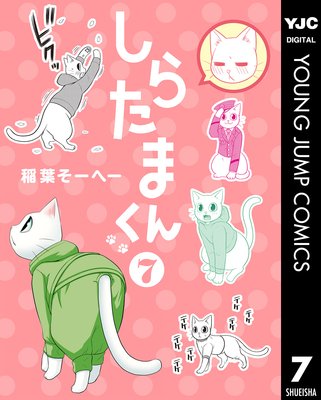 ���餿�ޤ��� 7