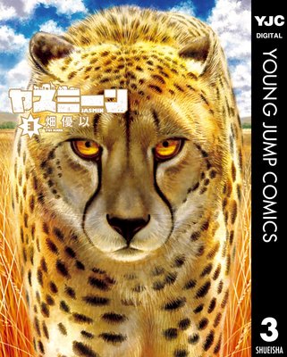 �䥹�ߡ���