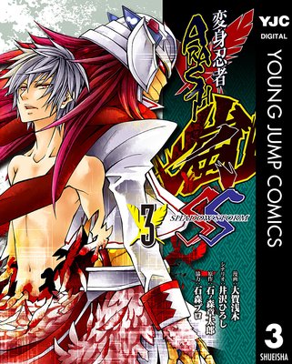 �ѿ�Ǧ���� SHADOW STORM 3