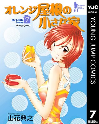 ����󥸲����ξ����ʲ� 7