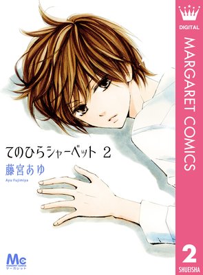 �ƤΤҤ饷�㡼�٥å� 2