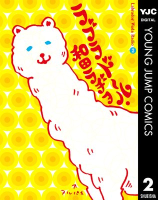 ��֥�ɡ��롦���ĥ�¥�