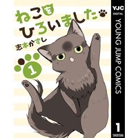 ねこをひろいました。
