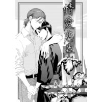 情愛恋華【イラスト入り】