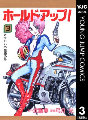 �ۡ���ɥ��å�! 3