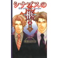 シナプスの柩【イラスト付き】
