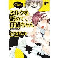 ミルクを舐めて、仔猫ちゃん。