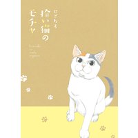 拾い猫のモチャ