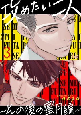 攻めたい二人~その後の蜜月編~(フルカラー) 3