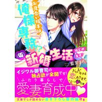 お見合い相手は俺様専務!?(仮)新婚生活はじめます