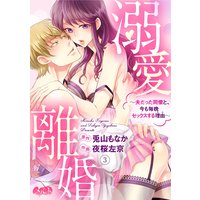 溺愛離婚 〜夫だった同僚と、今も毎晩セックスする理由(わけ)〜 3