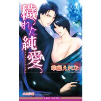 穢れた純愛<特別版>【イラスト入り】