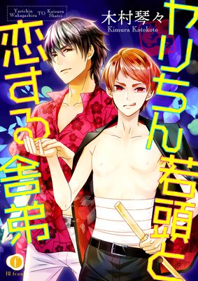 �������Ƭ�����������