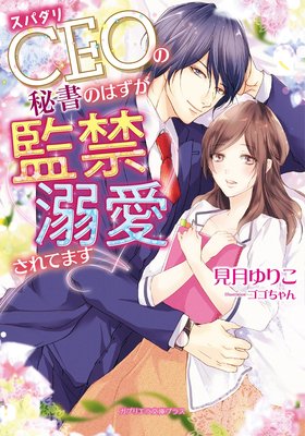 ���ѥ���CEO�����ΤϤ����ƶ�Ů������Ƥޤ�