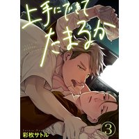 上手にできてたまるか3