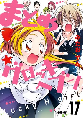 �ޤȤ�������å����إ֥� ʬ���� 17��