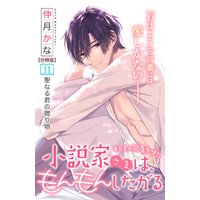 小説家さまは、もんもんしたがる 分冊版 11巻