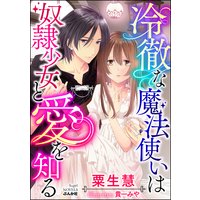 冷徹な魔法使いは奴隷少女と愛を知る【イラスト入り】