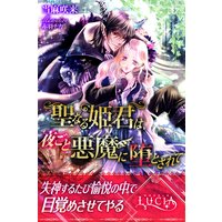 聖なる姫君は、夜ごと悪魔に堕とされて