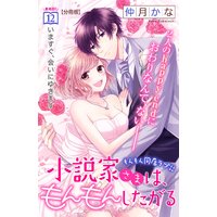 小説家さまは、もんもんしたがる 分冊版 12巻