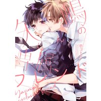 矢嶋くんの専属フレンド【特典ペーパー付】
