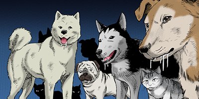 �Ť��ʤ�ɥ� 1042�ڥե륫�顼��