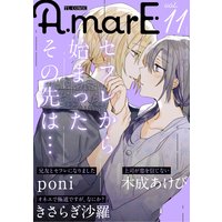 AmarE vol.11