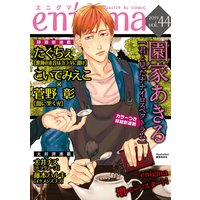 enigma vol.44