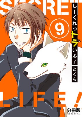 ��������åȥ餤�ա� ʬ���� 9��