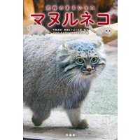 マヌルネコ