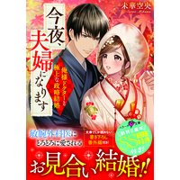 今夜、夫婦になります〜俺様ドクターと極上な政略結婚〜