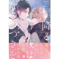 星降る夜は恋のつづきを【特典付き】